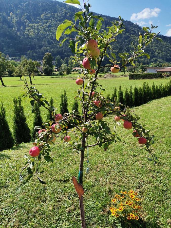 Apartment - Ferienwohnung 2 Treffen Am Ossiachersee Buitenkant foto